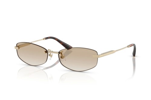Jimmy Choo JC4013D - 300611 - 57 Okulary przeciwsłoneczne Owalny/Geometryczny