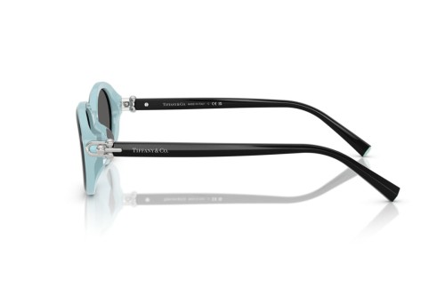 TIFFANY & CO. TF4242D - 8055S4 - 54 Okulary przeciwsłoneczne Czarny Owalny