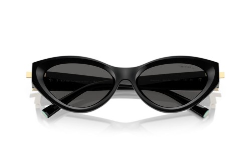 TIFFANY & CO. TF4225U - 8001S4 - 54 Okulary przeciwsłoneczne Czarny Kocie oczy