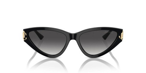 Jimmy Choo JC5019 - ​50008G - ​55 Okulary przeciwsłoneczne Czarny Kocie oczy