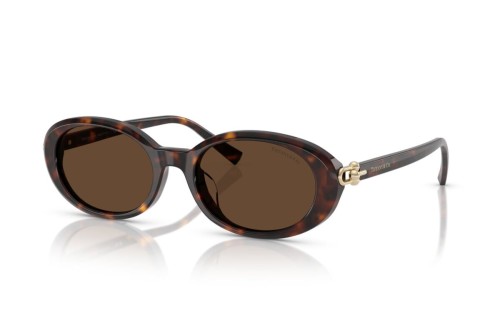 TIFFANY & CO. - Okulary przeciwsłoneczne - TF4242D - 80153G - 54