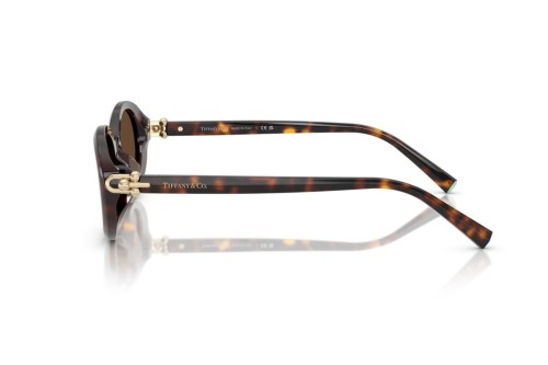 TIFFANY & CO. TF4242D - 80153G - 54 Okulary przeciwsłoneczne Owalny