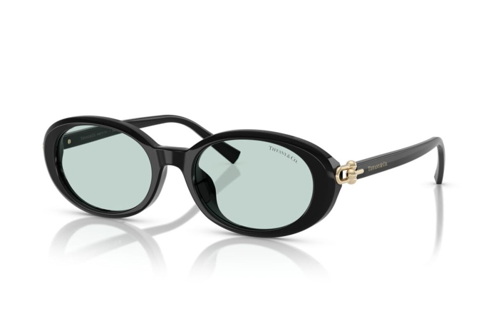 TIFFANY & CO. TF4242D - 8001D9 - 54 Okulary przeciwsłoneczne Czarny Owalny