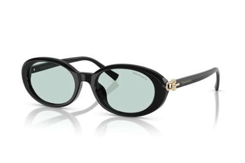 TIFFANY & CO. TF4242D - 8001D9 - 54 Okulary przeciwsłoneczne Czarny Owalny