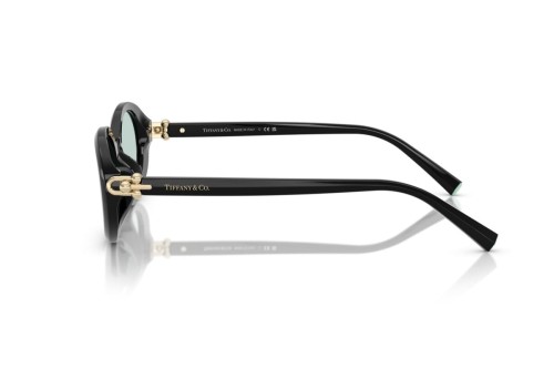 TIFFANY & CO. TF4242D - 8001D9 - 54 Okulary przeciwsłoneczne Czarny Owalny