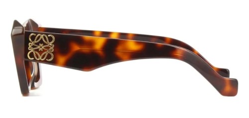 Loewe LW40036I - 53E - 50 Okulary przeciwsłoneczne Havanna Kocie oczy