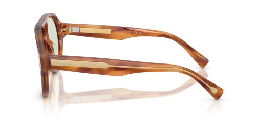 BRUNELLO CUCINELLI BC4017S - 102221 - 57 - Z SOCZEWKAMI TRANSITIONS Okulary przeciwsłoneczne Havanna Pilotki (aviator)