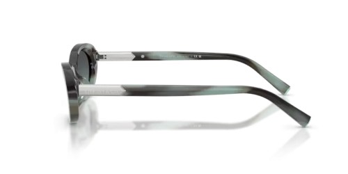 TIFFANY & CO. TF4250 - 84432G - 56 Okulary przeciwsłoneczne Owalny
