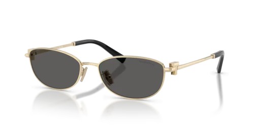 TIFFANY & CO. - Okulary przeciwsłoneczne - TF3115 - 6021S4 - 56