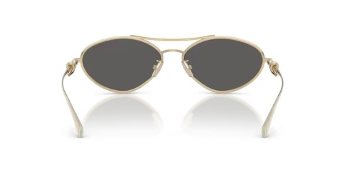 TIFFANY & CO. TF3117 60012G 58 - 6021S4 - 58 Okulary przeciwsłoneczne