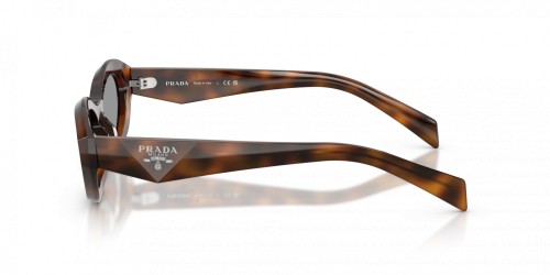 PRADA PR 26ZS - ​20D50Q - ​55 Okulary przeciwsłoneczne Havanna Owalny