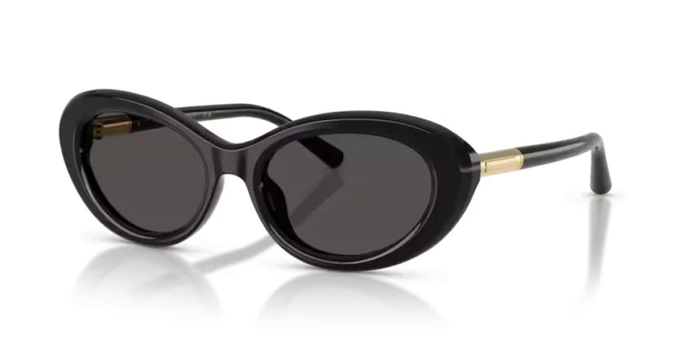 DOLCE & GABBANA DG4519 - 501/87 - 54 Okulary przeciwsłoneczne Czarny Owalny