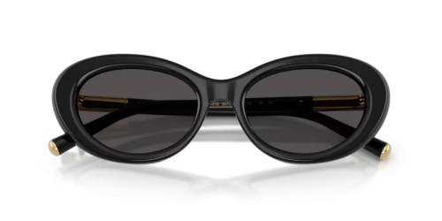 DOLCE & GABBANA DG4519 - 501/87 - 54 Okulary przeciwsłoneczne Czarny Owalny