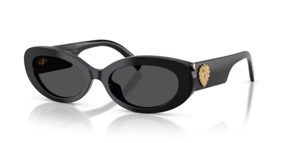 DOLCE & GABBANA DG4537 - 501/87 - 53 Okulary przeciwsłoneczne Czarny Owalny