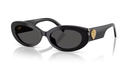 DOLCE & GABBANA DG4537 - 501/87 - 53 Okulary przeciwsłoneczne Czarny Owalny