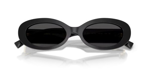 DOLCE & GABBANA DG4537 - 501/87 - 53 Okulary przeciwsłoneczne Czarny Owalny