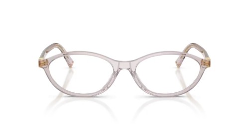 MIU MIU MU 09XV - 12W1O1 - 53 Oprawki korekcyjne Owalny