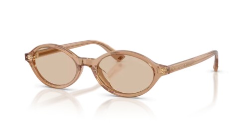 Jimmy Choo JC5068U - 507693 - 51 Okulary przeciwsłoneczne Owalny