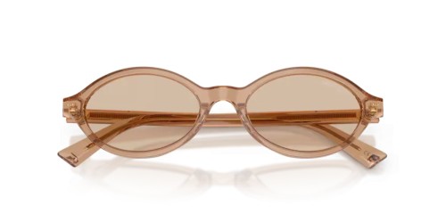 Jimmy Choo JC5068U - 507693 - 51 Okulary przeciwsłoneczne Owalny