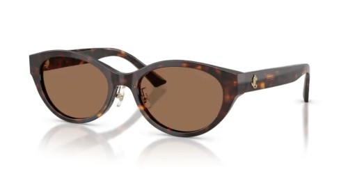 Jimmy Choo - Okulary przeciwsłoneczne - JC5064D - 500273 - 55