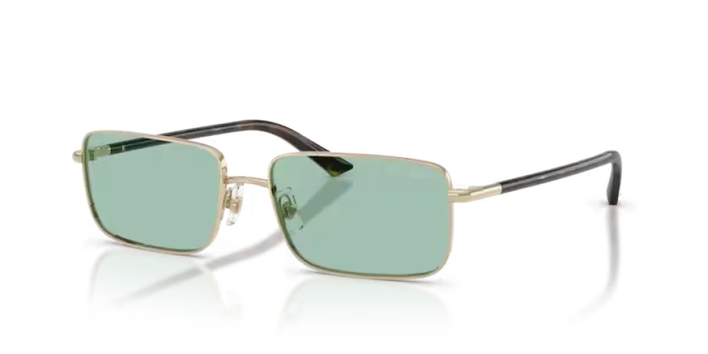 Jimmy Choo JC4027 - 3006/2 - 55 Okulary przeciwsłoneczne Prostokątny