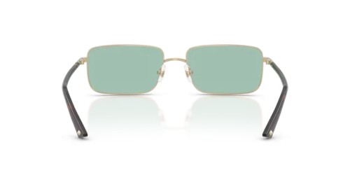 Jimmy Choo JC4027 - 3006/2 - 55 Okulary przeciwsłoneczne Prostokątny