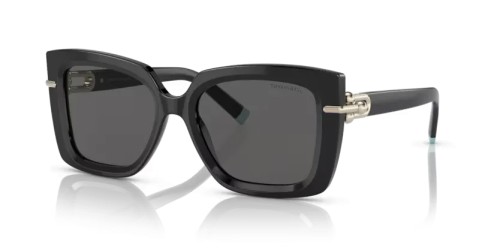 TIFFANY & CO. - Okulary przeciwsłoneczne - TF4199 - 8001S4 - 53
