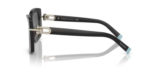 TIFFANY & CO. TF4199 - 8001S4 - 53 Okulary przeciwsłoneczne Czarny Motyl