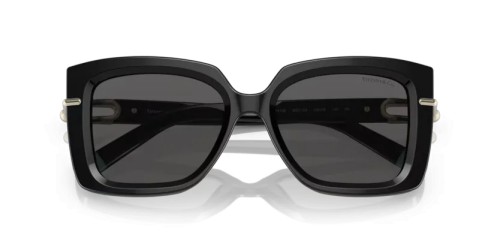 TIFFANY & CO. TF4199 - 8001S4 - 53 Okulary przeciwsłoneczne Czarny Motyl