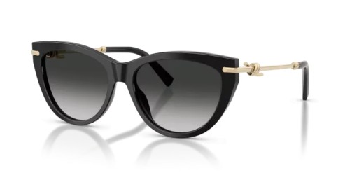 TIFFANY & CO. - Okulary przeciwsłoneczne - TF4253 - 80013C - 55