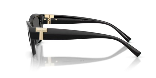 TIFFANY & CO. TF4255U - 8001S4 - 56 Okulary przeciwsłoneczne Czarny Prostokątny
