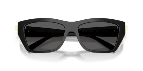 TIFFANY & CO. TF4255U - 8001S4 - 56 Okulary przeciwsłoneczne Czarny Prostokątny