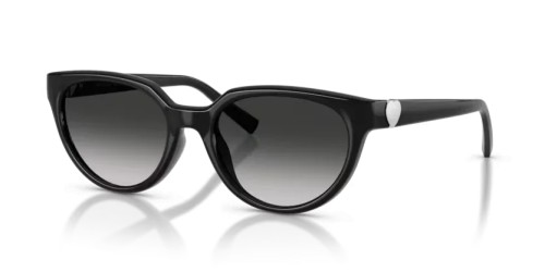 TIFFANY & CO. - Okulary przeciwsłoneczne - TF4256D - 80013C - 55