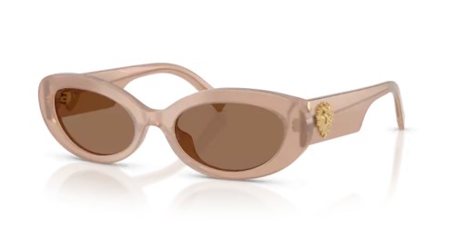 DOLCE & GABBANA DG4537 - 304273 - 53 Okulary przeciwsłoneczne Owalny