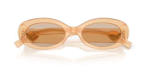 DOLCE & GABBANA DG4537 - 308993 - 53 Okulary przeciwsłoneczne Owalny