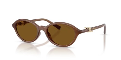 TIFFANY & CO. TF4266U - 847183 - 51 - Z SOCZEWKAMI POLARYZACYJNYMI Okulary przeciwsłoneczne Przezroczysty miodowy Owalny