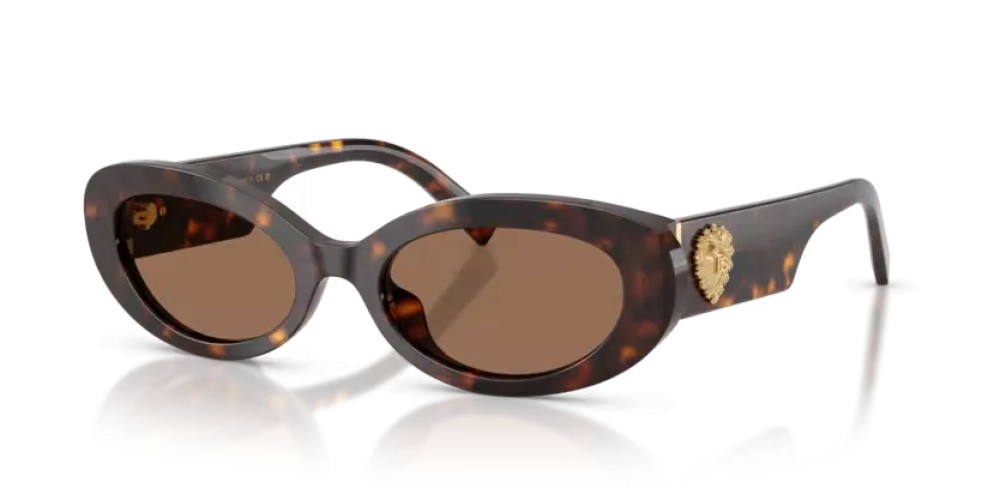 DOLCE & GABBANA DG4537 - 502/73 - 53 Okulary przeciwsłoneczne Havanna Owalny