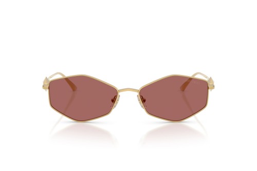 Jimmy Choo JC4017 - ​302369 - ​55 Okulary przeciwsłoneczne Złoty Owalny