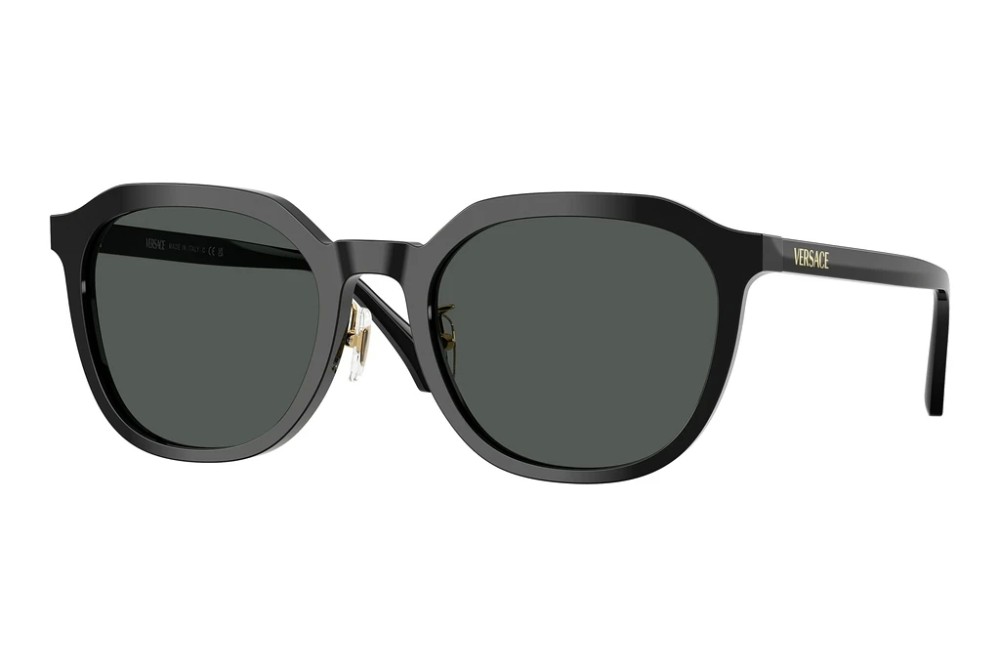 VERSACE VE4493-D - GB1/87 - 55 Okulary przeciwsłoneczne Czarny Pillow (zaokrąglony)